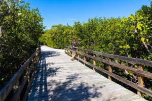 Go Exploring on the Best Hiking Trails in 30A, Florida