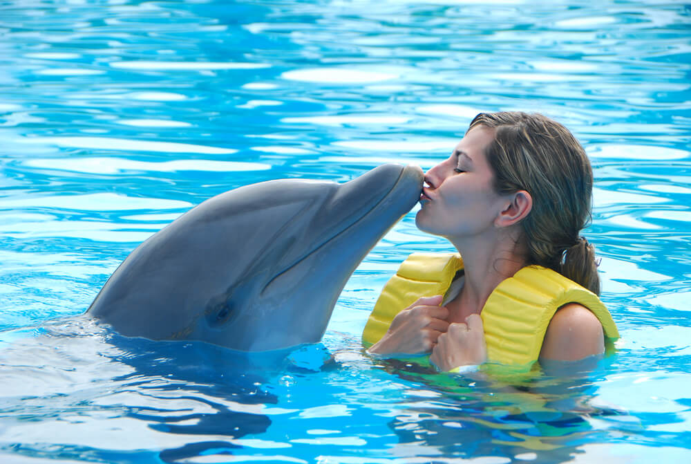 A woman out for a swim with dolphins in Panama City Beach.